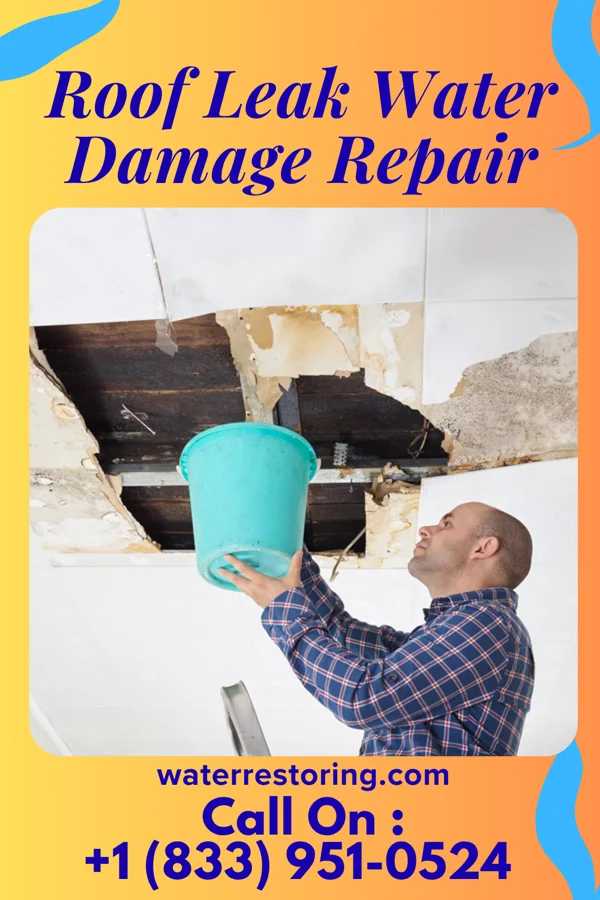 Roof Leak Water Damage Repair in Paraje, NM